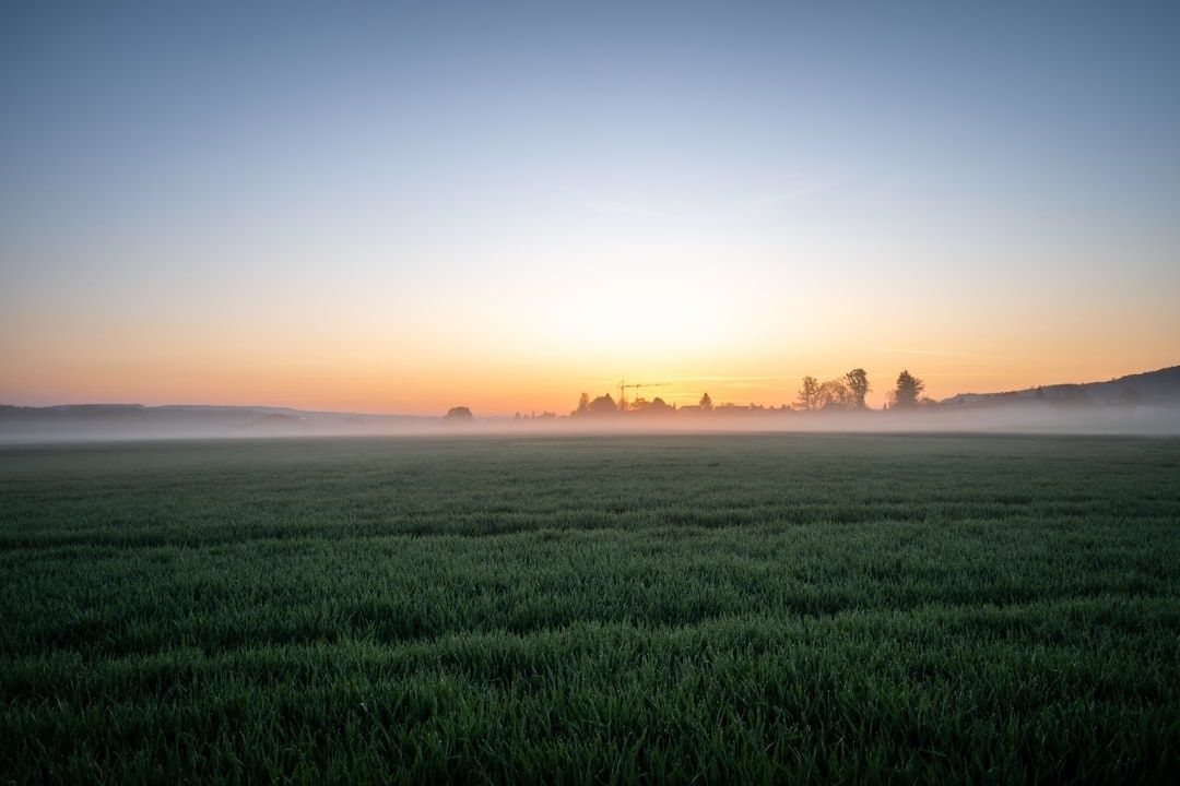 Nebel liegt über einem stillen Feld im warmen Licht des Sonnenaufgangs